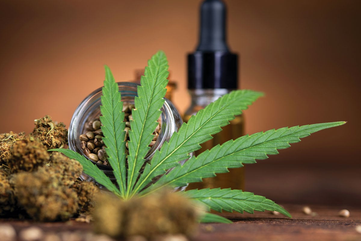 West Coast Wellness | Premium flower, full-spectrum gummies, and CBD wellness products