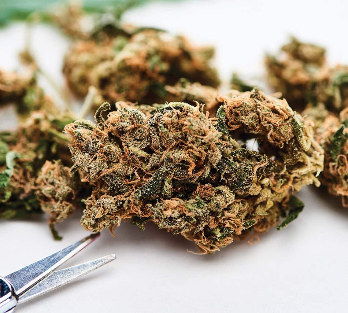 West Coast Wellness | Premium flower, full-spectrum gummies, and CBD wellness products