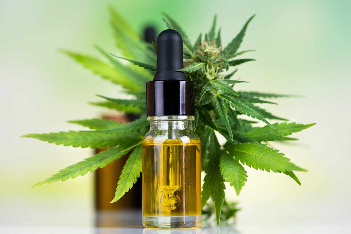 The Ultimate Guide to Full-Spectrum vs. Broad-Spectrum CBD for Anxiety The Ultimate Guide to Full-Spectrum vs. Broad-Spectrum CBD for Anxiety