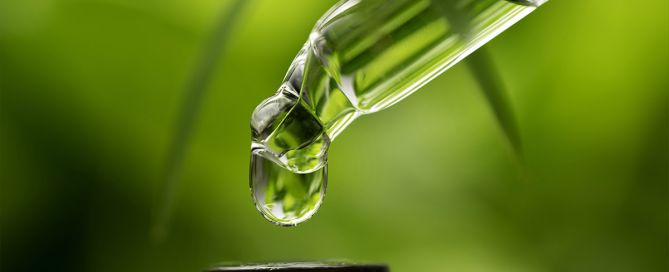 Bioharmony and Longevity: Incorporating Herbal Tinctures into Your Daily Bio-Routine